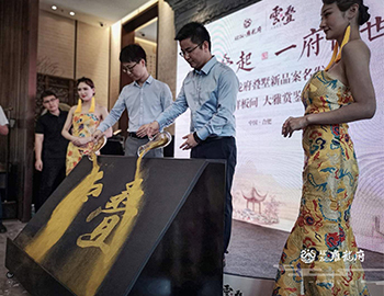【云顶集团·雍龙府】万象城旁，6米层高叠墅验资首日人气完爆世界杯开幕式。。 