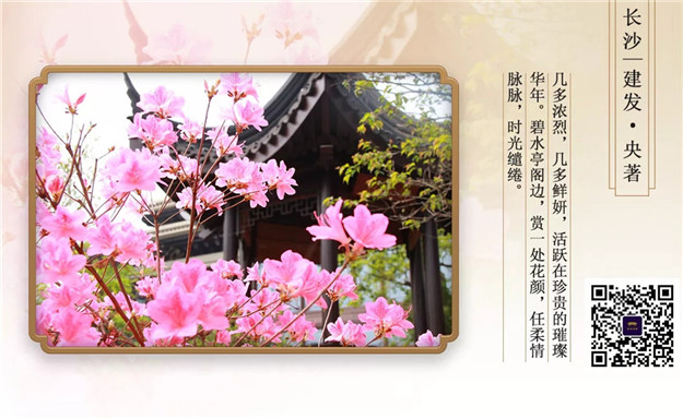 云顶集团(中国区)官方网站